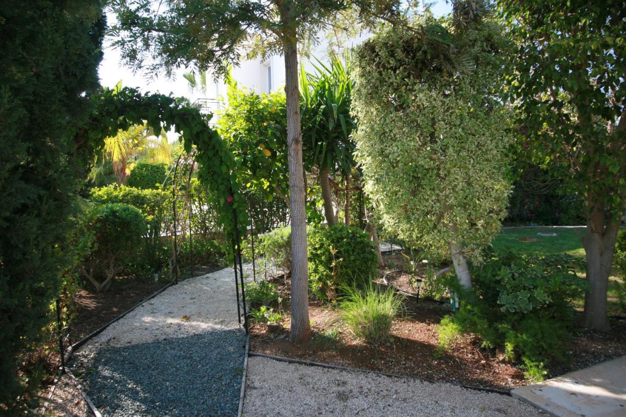 Beach Villa Sofia Neo Chorio Exteriör bild